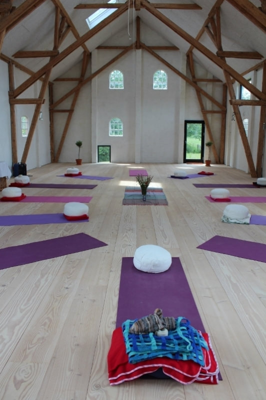 Sommerretreat på Samsø – yoga, natur, meditation, bæredygtighed | 11. - 13. august 2023​