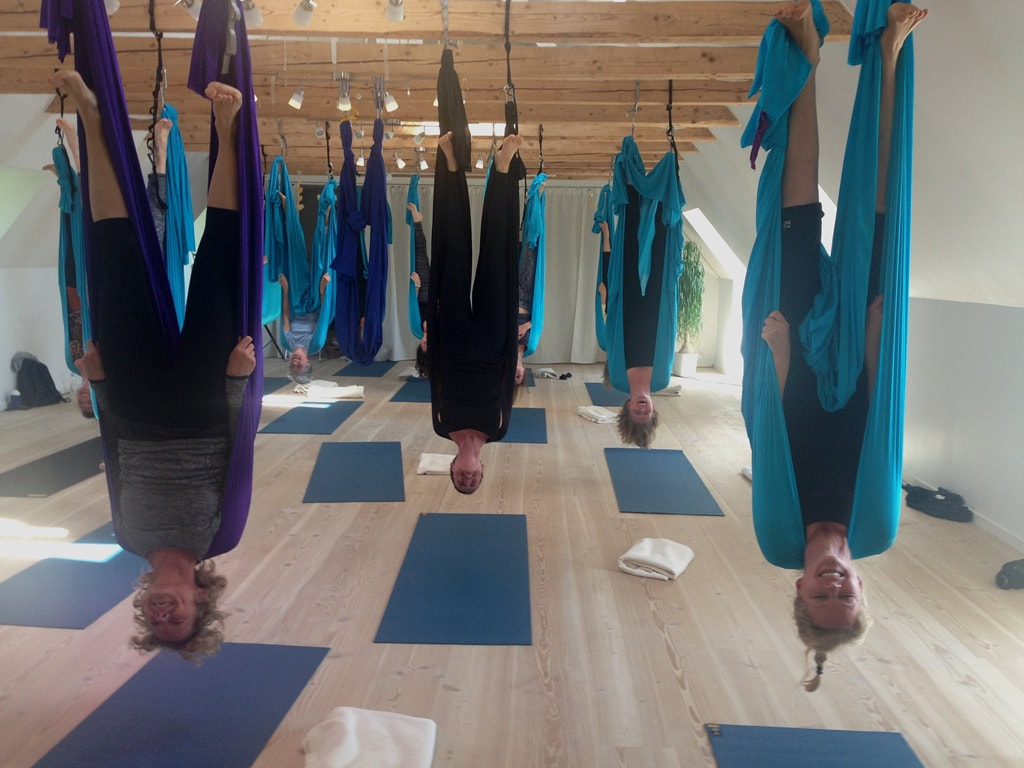 Vinter-retreat på Møn med Aerial og Hatha-yoga | 21. - 23. januar 2022​