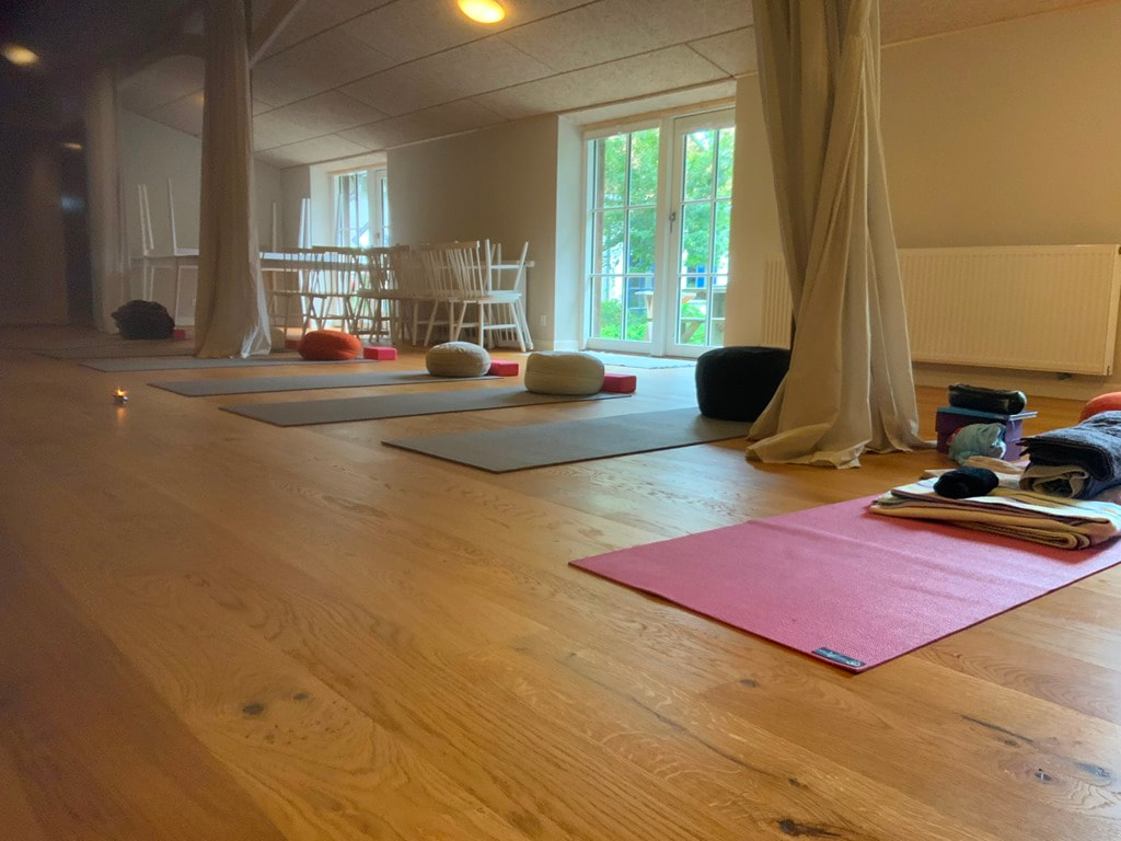 "Jordforbindelse, rødder og fundament" - Yogaweekend retreat på Danakilde i Give | 23. - 25. september 2022​