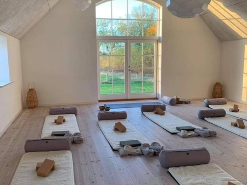 Chakra Sommer Yoga Retreat på Kirsebærgården i Odsherred | 14. - 16. juni 2023