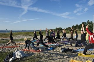 YogaCamp på Feddet, Sydsjælland | 8. - 14. juli 2024​