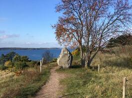 Meditativt og stille efterårsyoga retreat på Polariscentret ved Ejby Fjord | 11. - 13. oktober 2019