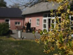 Energi og livsglæde med faste-retreat - Rødegaard, Djursland | 24. - 26. maj 2024