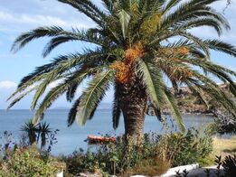 Spirituel rejse med - Et Kursus i Mirakler - til den hellige ø Patmos i Grækenland | 15. april - 1. maj 2023
