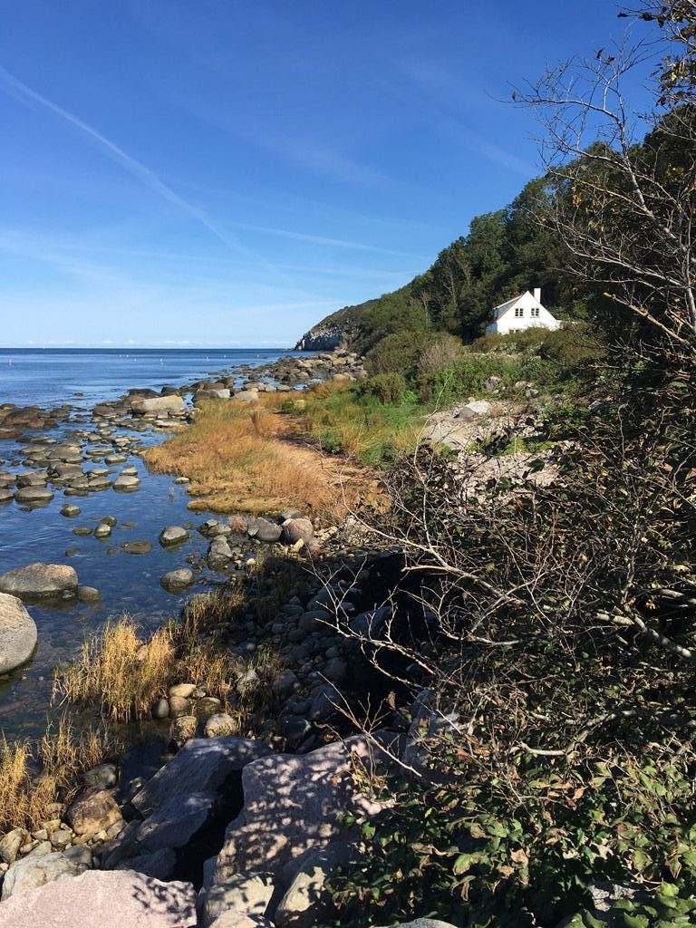 Vandre-retreat på vilde Bornholm - 3 dage med vandring og naturmeditation | 15. - 17. september 2023
